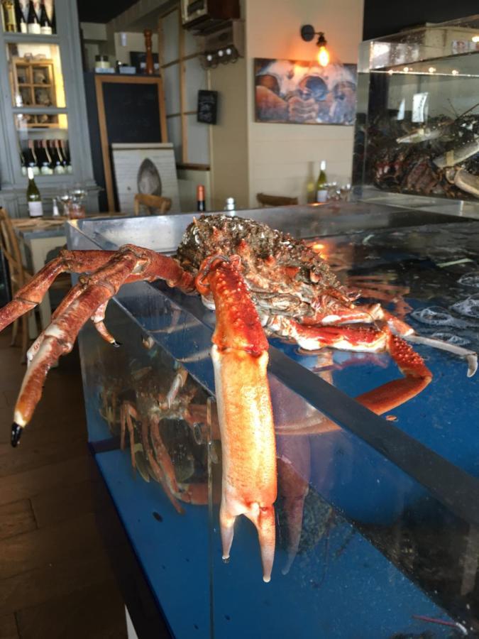 Hotel La Table De Jeanne Erquy Zewnętrze zdjęcie